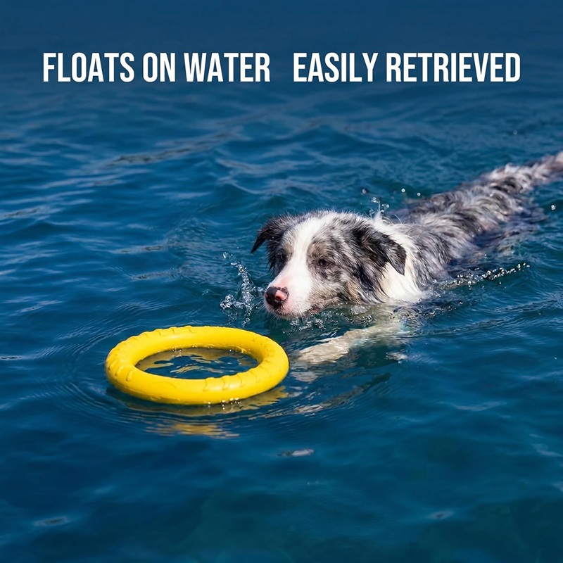 Flying Disc Dog Training Toy - Zabawki dla psów, latające dyski dla