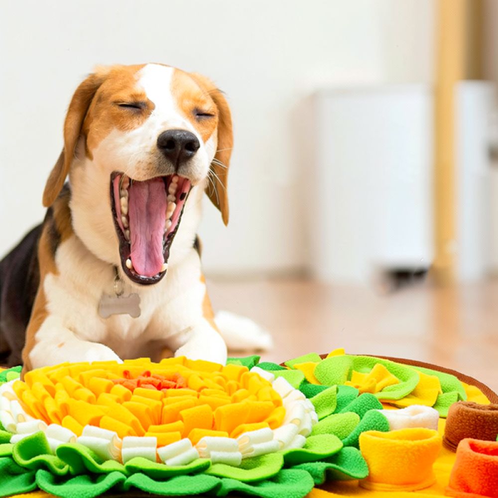 Mata do szukania smakołyków dl – Dog Puzzle Feeder Toy recenzja i cena